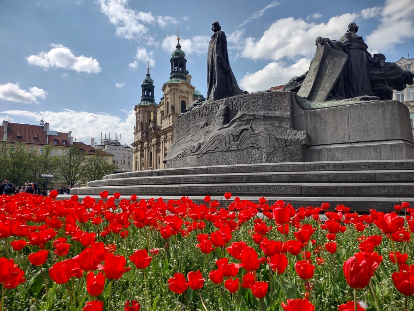 Záhon rozkvetlých červených tulipánů u sochy Mistra Jana Husa na Staroměstském náměstí v Praze