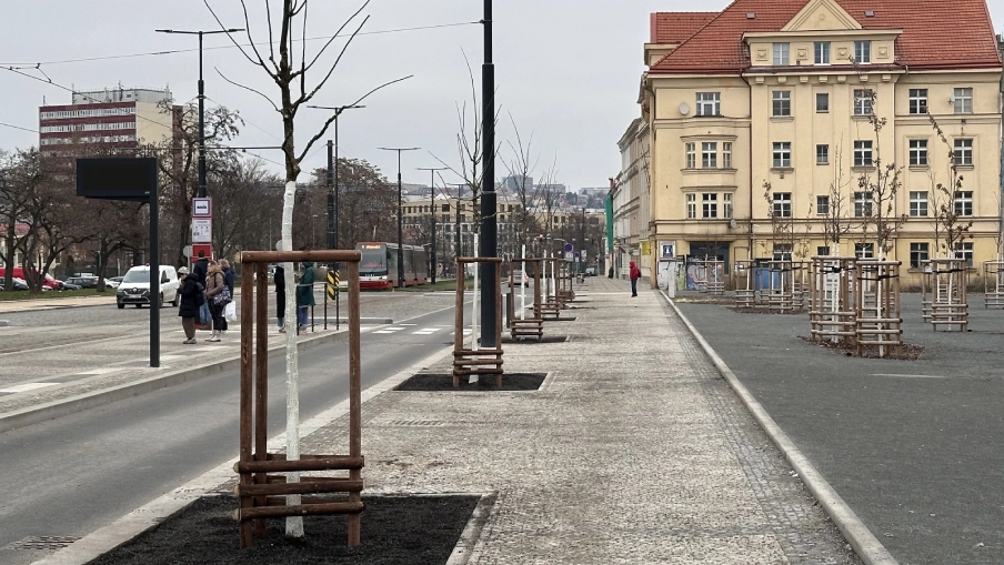 Výsadba stromořadí v ulici U Výstaviště v Praze.