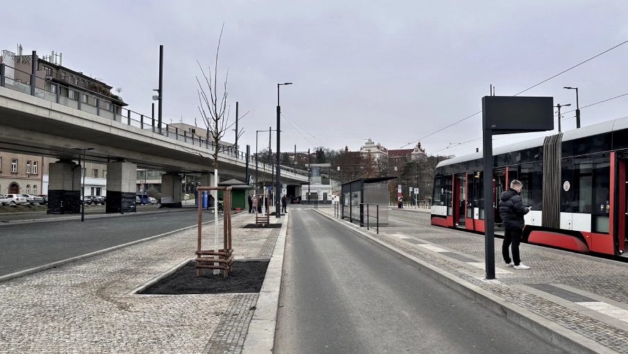 Výsadba stromořadí v ulici U Výstaviště v Praze.