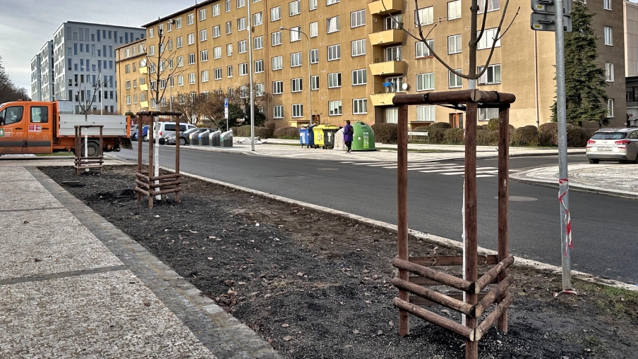 Výsadba stromů Generála Píky v Praze.