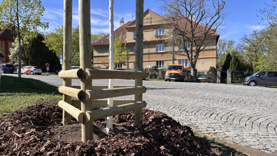 Výsadba klimastromů v ulici V Cibulkách v Praze.